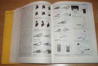 Encyklopédia drobnochovateľa - 8