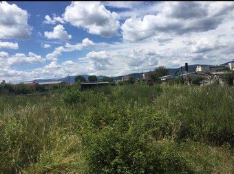 Kosenie-mulčovanie pozemkov//Pílenie//Orez stromov - 8