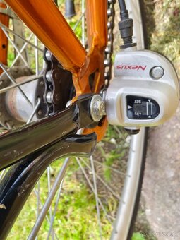 Kenzel Exclusive - 8