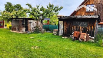 Vinica: Rozľahlá slnečná záhrada s rodinným sadom - 8