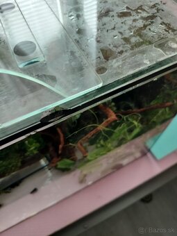 Set zabehnutého akvaria - 8