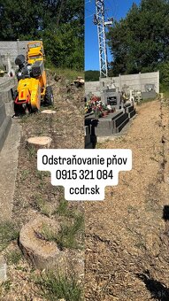 Profesionálne frézovanie a likvidácia pňov – rýchlo, bezpečn - 8