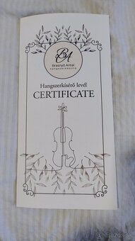 Viola 38,5 - Brasnyó Antal (Győr) - 8