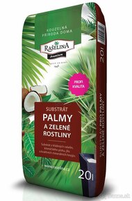 Sadenice mrazuvzdornej palmy Trachycarpus fortunei - 8