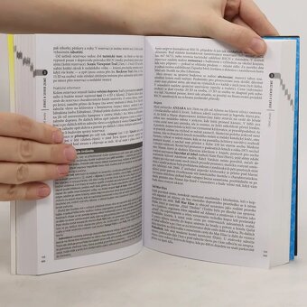 Jordánsko - český tur. sprievodca Rough Guides - 8