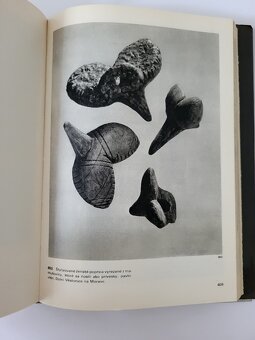 Jan Jelínek - Veľký obrazový atlas pravekého človeka - 8