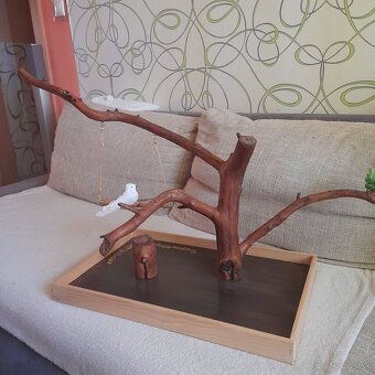 Papagáje, stromobidlá, strom pre papagáje - 8