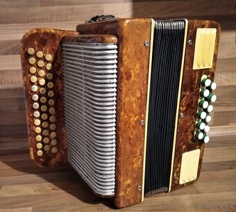 Akordeon, harmonika, heligonka - 8