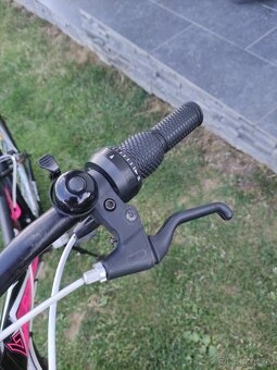Adria Stinger - 8