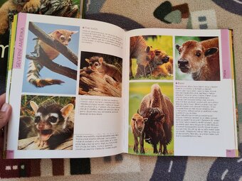 1000 mláďat (CZ) - 8