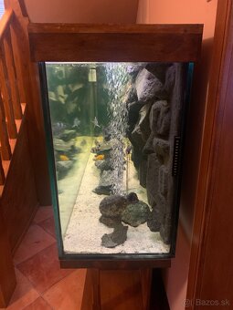 Akvarium - 8