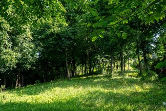 Pozemok - 2860 m2, Stavebné povolenie, blízko centra mesta - 8
