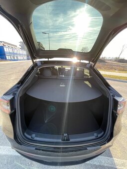 Predam Tesla model Y performance - 8