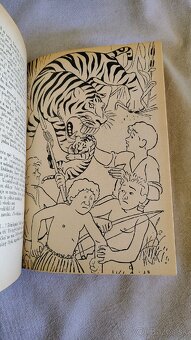 4x dobrodružný román - 8