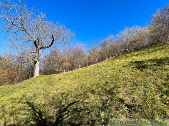 Pôvodný banícky dom s rozľahlým pozemkom – Banská Hodruša - 8