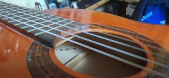 Schneider guitar akustika - 8