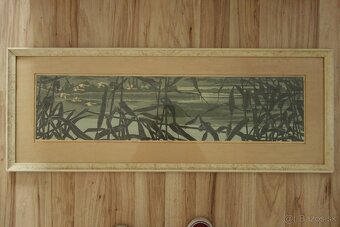 Obraz - Botanský - návrat - 8