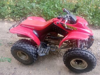Honda TRX 250ex - 8