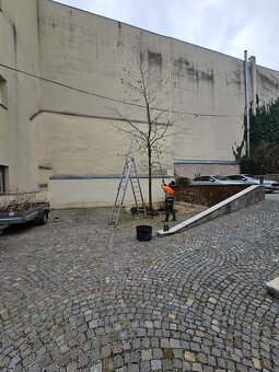 vertikutacia, rotavatorovanie, rylovanie, strihanie - 8