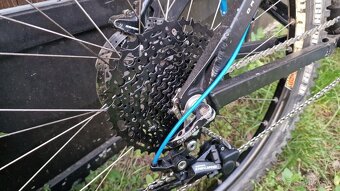 dartmoor Hornet Mini Mullet (Veľ M) - 8