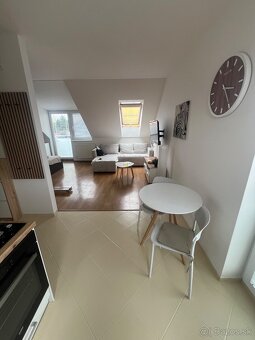 PETFRIENDLY 1-izbový byt so záhradkou (Biely Kostol) - 8