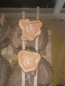 Predám orechové koláče - priečne rezy - 8