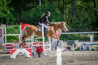 Kllisna hafling, Pony B - 8