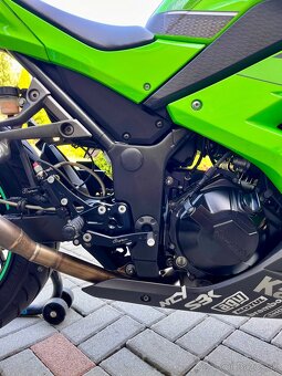Kawasaki Ninja 300 (EX300A/B/1) - 2013 - 8