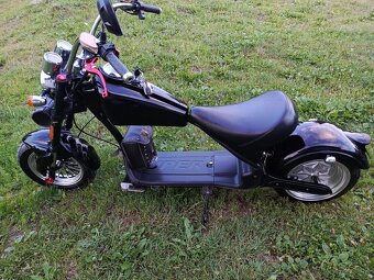 Elektro Chopper - 8