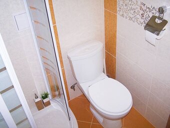 1-izbový byt, Nivy, Miletičova, tehla, kompletná rekonštrukc - 8