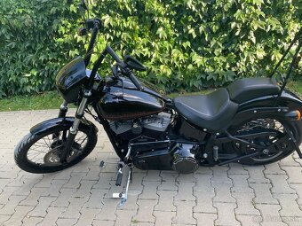Harley Davidson Softail BLACKLINE - 8