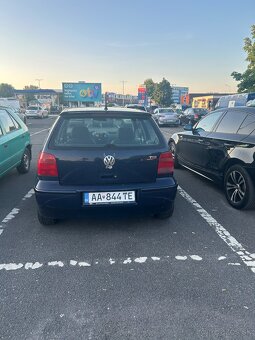 Polo - 8