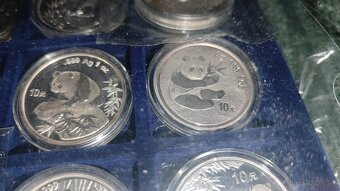 China Panda Komplet Set - 8