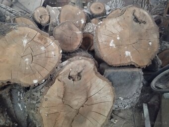 Orechové drevo-kmene palivové, kvalitné,už väčšie množstvo - 8