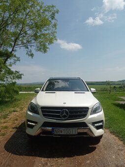 ML350 - 8