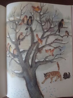 Hľadajte Šamiska (Anna Minichová) - 8