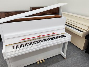 Excelentné piano Hohner dovoz celá SR - 8