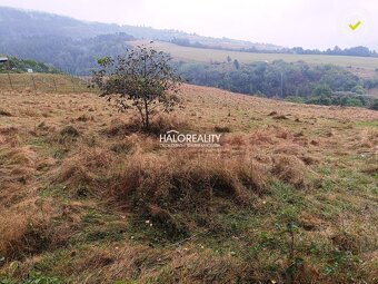 HALO reality - Predaj, pozemok pre rodinný dom 4217 m2 Gel - 8