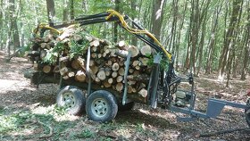 Vývozka na drevo - 8
