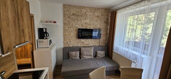 Apartmán aj s podielom na Wellnesse, Liptovský. Ján - 8