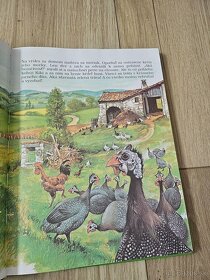 Moja najkrajsia kniha o zvieratkach - 8