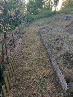 na predaj záhrada s chatkou v sade 600 ročnice - 8