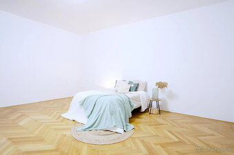 REI PREMIUM - Zaujímavý 3 izbový byt na predaj v Starom Mes - 8