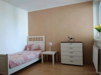 Senecké jazerá ubytovanie v apartmáne aj pre firmy - 8