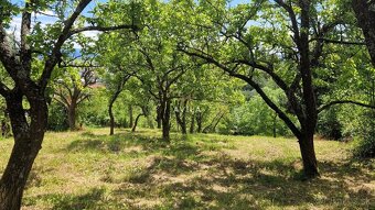 Na predaj rekreačný pozemok 2 920 m², Nové Mesto nad Váhom - 8