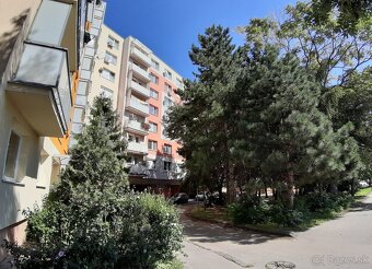 Garsónka pre jednu osobu pri Zelenom Kríčku - 8