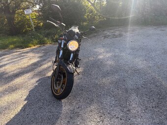Suzuki bandit 650 v TP 25kw - 8