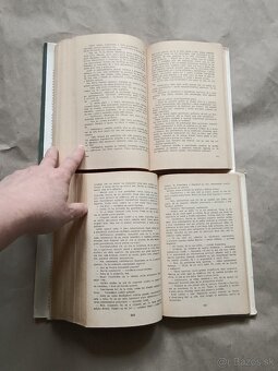 Marija Jurič Zagorka: Sokyňa Márie Terézie,Dvorná Kamarila - 8