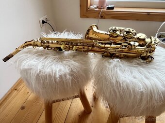 Saxofon Stewart Ellis Elite - 8