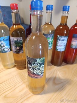 Predám domáce sirupy - 8